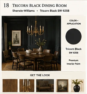 Get the Look board for Tricorn Black Dining Room